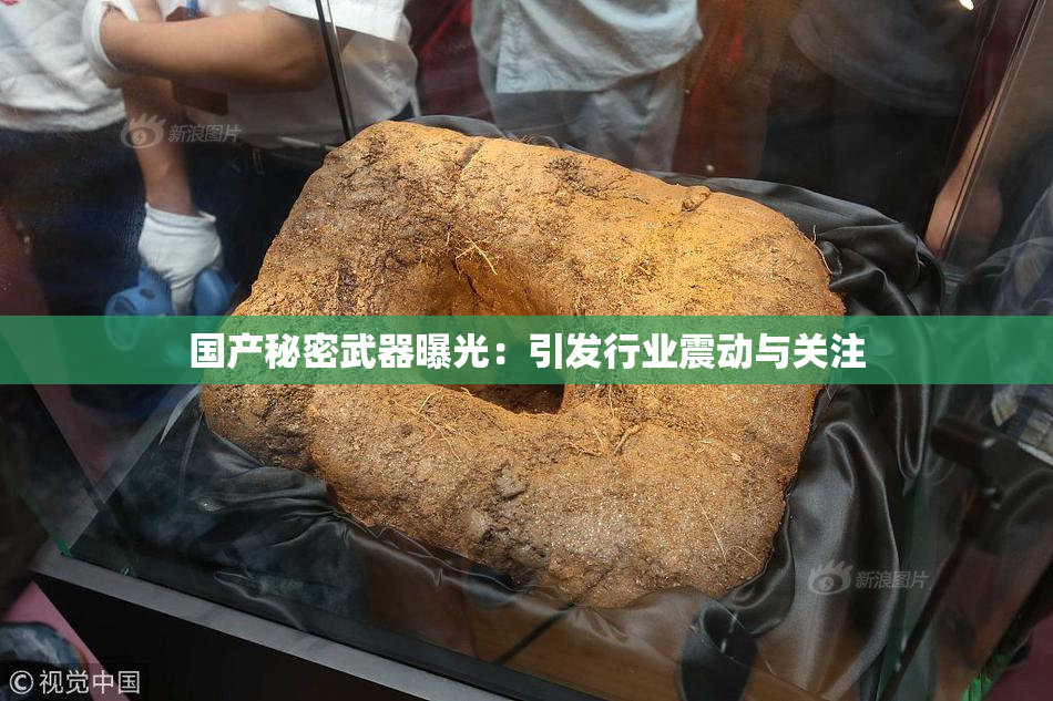 国产秘密武器曝光：引发行业震动与关注