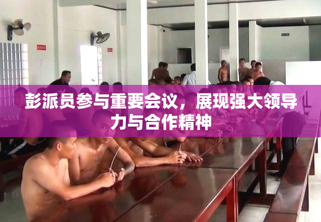 彭派员参与重要会议，展现强大领导力与合作精神