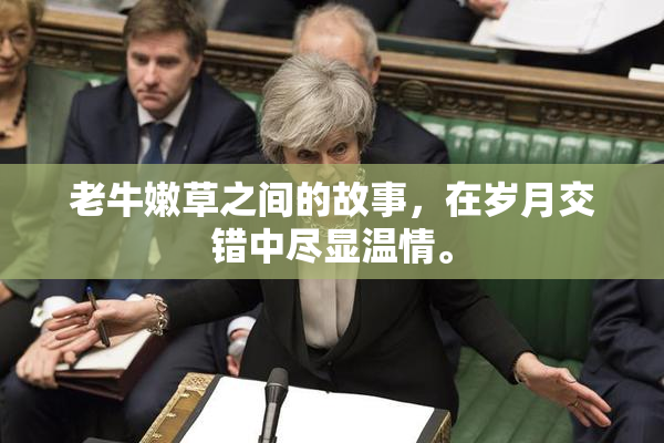 老牛嫩草之间的故事，在岁月交错中尽显温情。