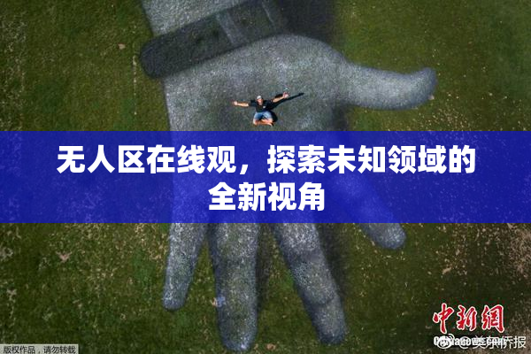 无人区在线观，探索未知领域的全新视角