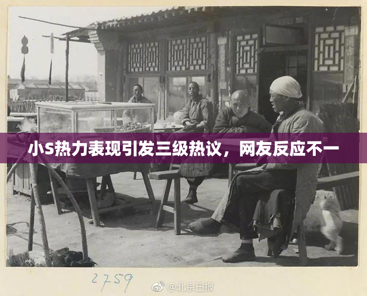 小S热力表现引发三级热议，网友反应不一