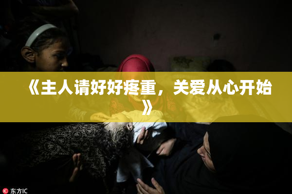 《主人请好好疼重，关爱从心开始》