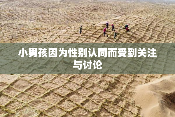 小男孩因为性别认同而受到关注与讨论