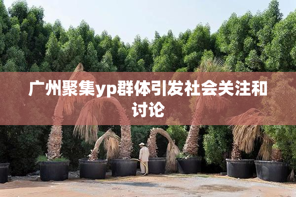 广州聚集yp群体引发社会关注和讨论