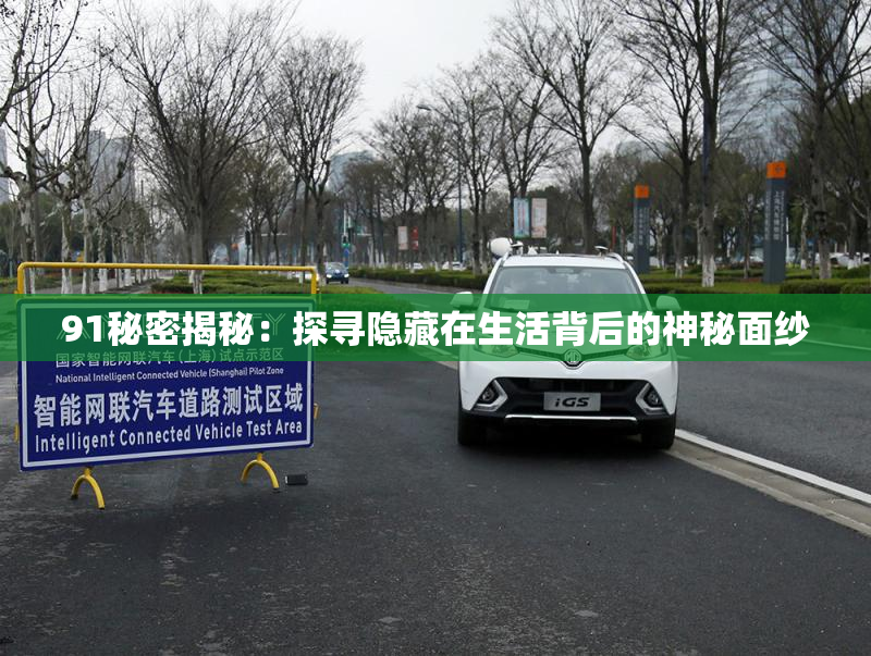 91秘密揭秘：探寻隐藏在生活背后的神秘面纱
