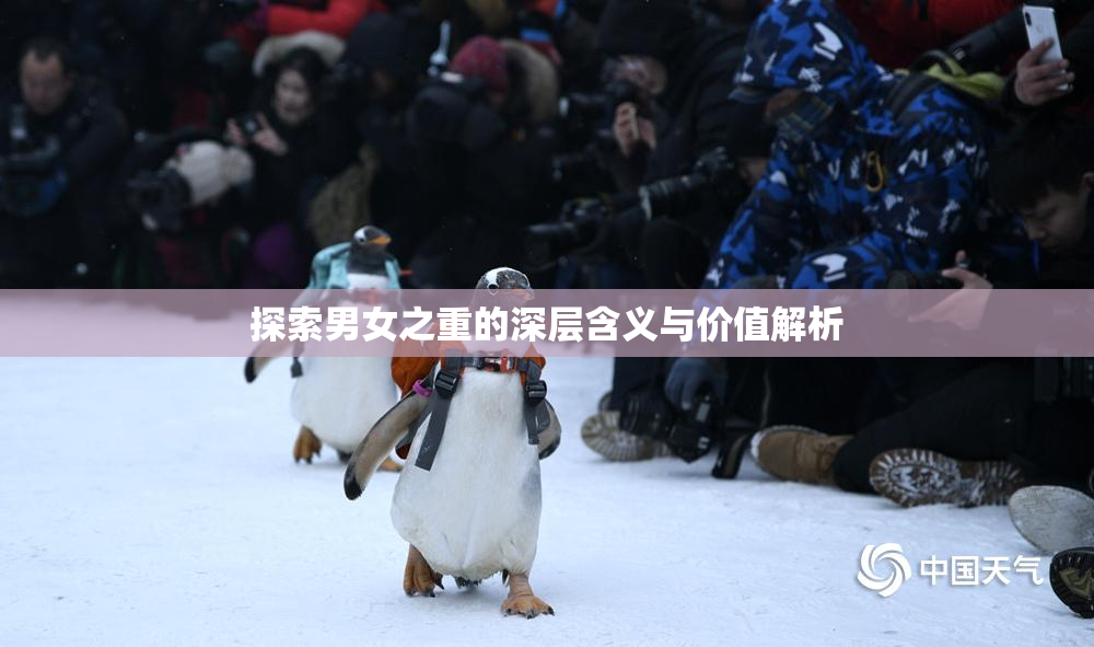 探索男女之重的深层含义与价值解析