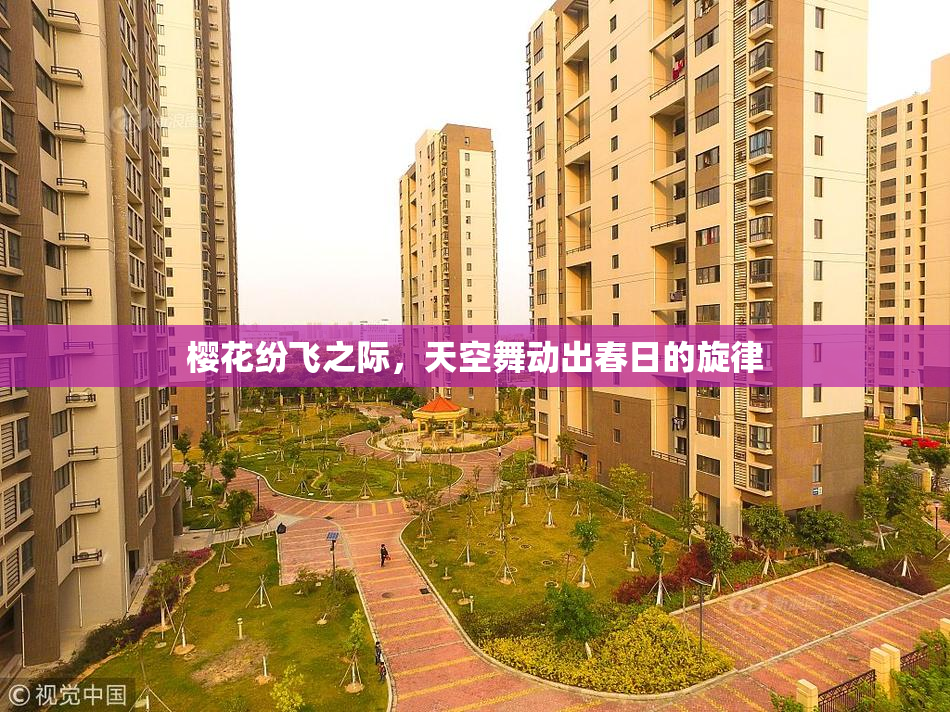 樱花纷飞之际，天空舞动出春日的旋律