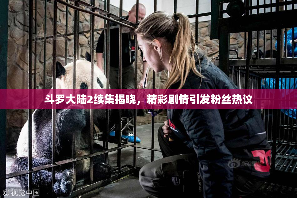 斗罗大陆2续集揭晓，精彩剧情引发粉丝热议