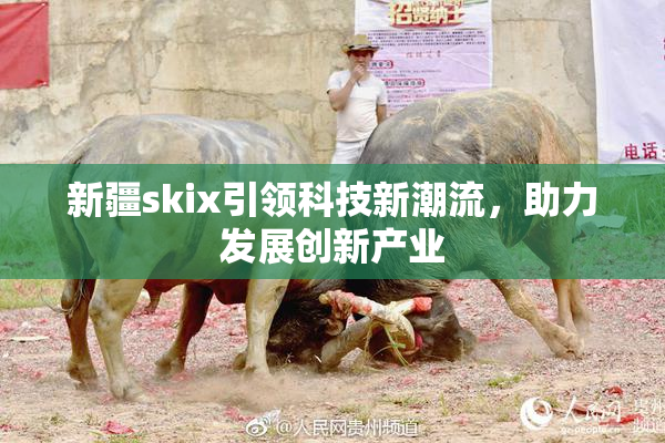 新疆skix引领科技新潮流，助力发展创新产业