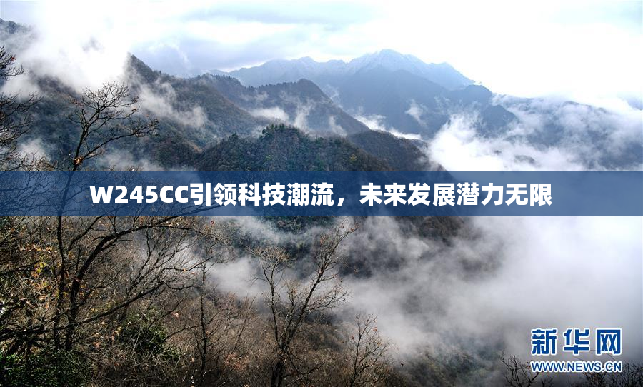 W245CC引领科技潮流，未来发展潜力无限