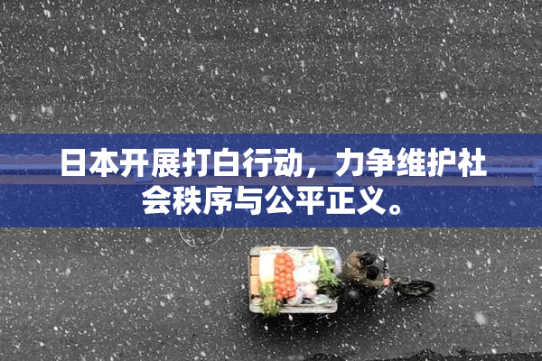 日本开展打白行动，力争维护社会秩序与公平正义。