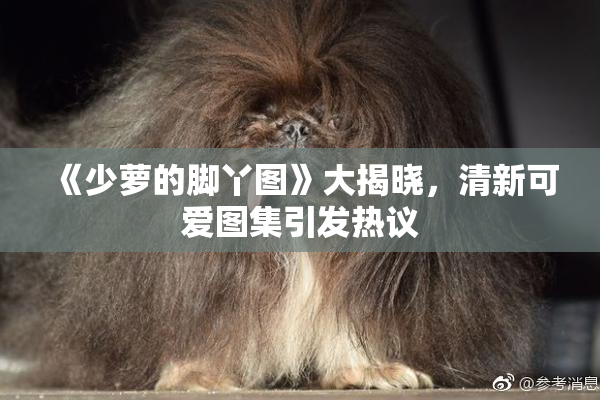 《少萝的脚丫图》大揭晓，清新可爱图集引发热议