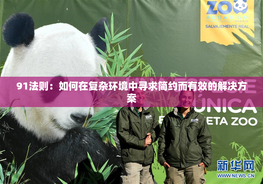 91法则：如何在复杂环境中寻求简约而有效的解决方案