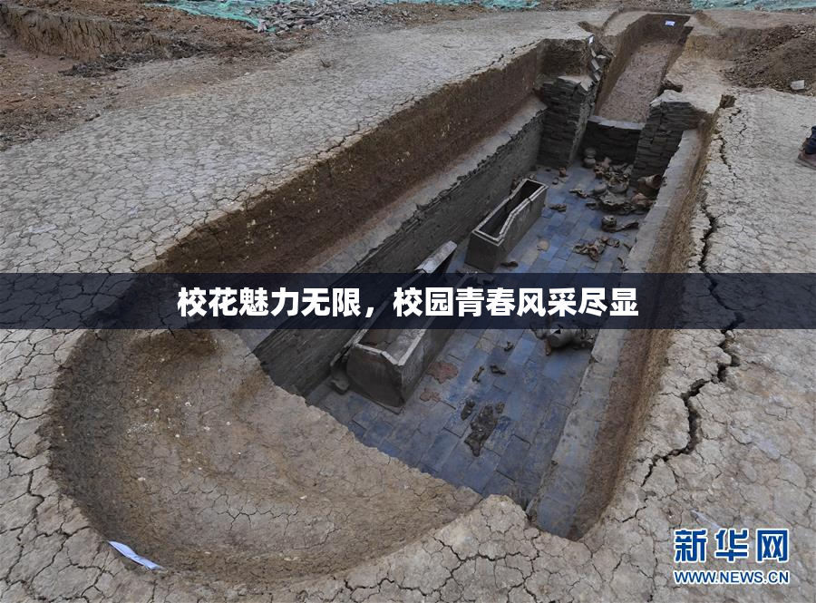 校花魅力无限，校园青春风采尽显