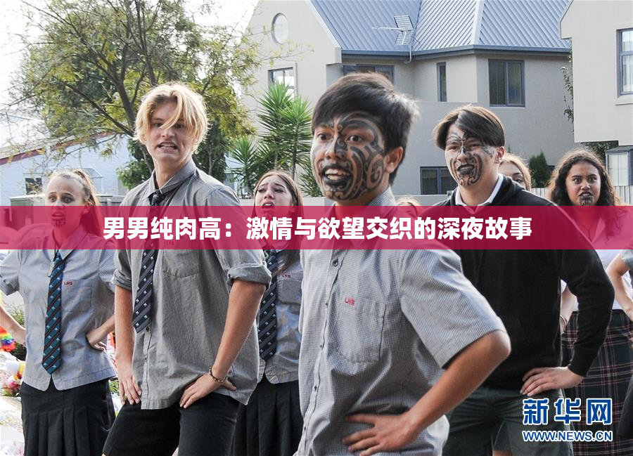 男男纯肉高：激情与欲望交织的深夜故事