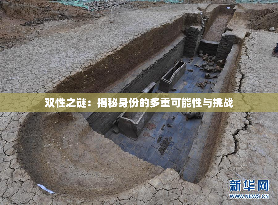 双性之谜：揭秘身份的多重可能性与挑战