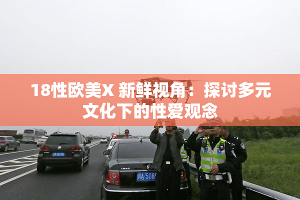 18性欧美X 新鲜视角：探讨多元文化下的性爱观念