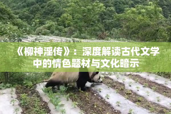 《柳神淫传》：深度解读古代文学中的情色题材与文化暗示