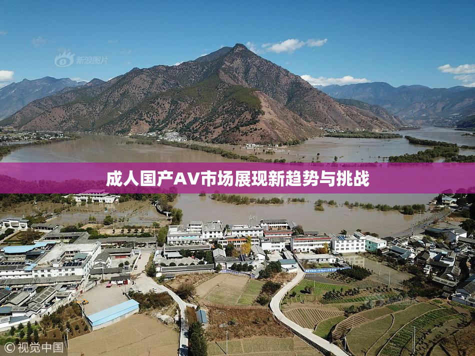 成人国产AV市场展现新趋势与挑战