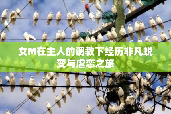 女M在主人的调教下经历非凡蜕变与虐恋之旅