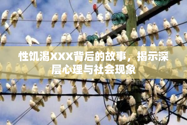 性饥渴XXX背后的故事，揭示深层心理与社会现象