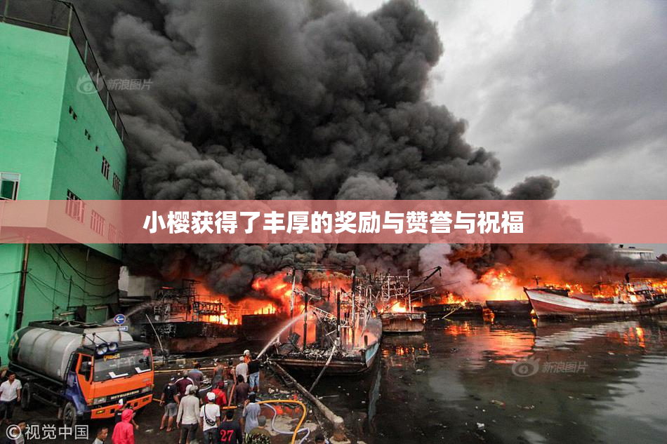 小樱获得了丰厚的奖励与赞誉与祝福
