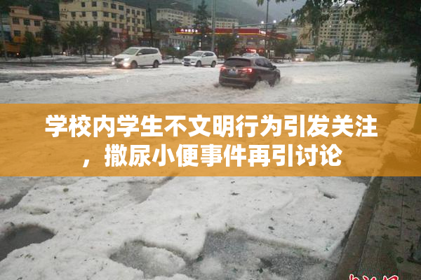 学校内学生不文明行为引发关注，撒尿小便事件再引讨论
