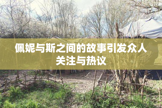 佩妮与斯之间的故事引发众人关注与热议