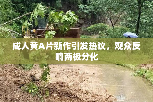 成人黄A片新作引发热议，观众反响两极分化