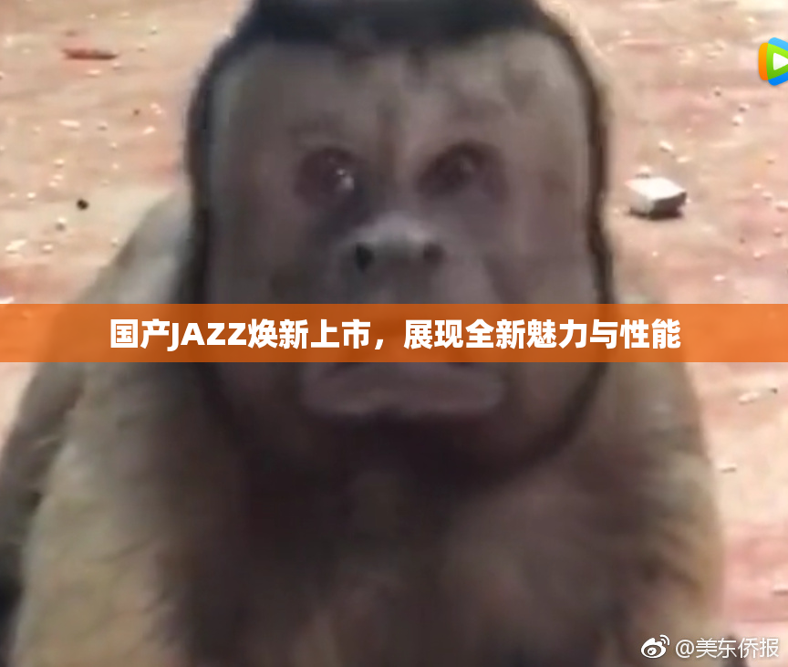 国产JAZZ焕新上市，展现全新魅力与性能