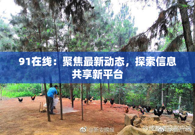 91在线：聚焦最新动态，探索信息共享新平台