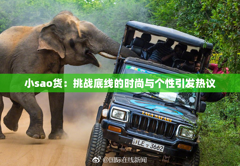 小sao货：挑战底线的时尚与个性引发热议