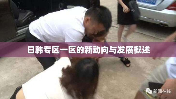 日韩专区一区的新动向与发展概述