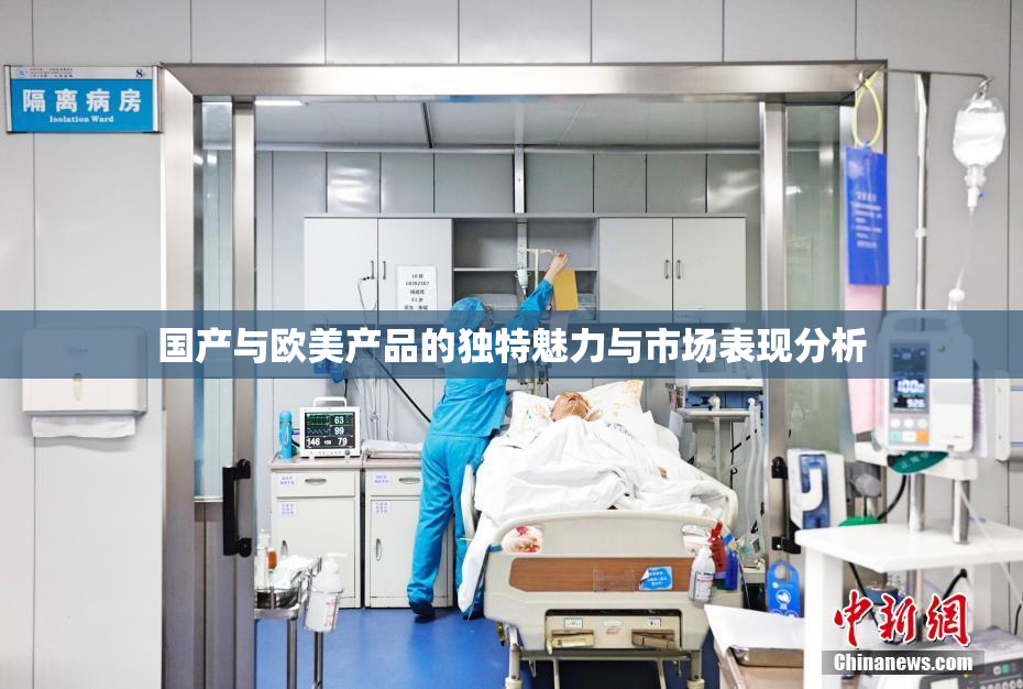 国产与欧美产品的独特魅力与市场表现分析