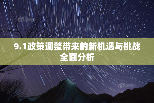 9.1政策调整带来的新机遇与挑战全面分析