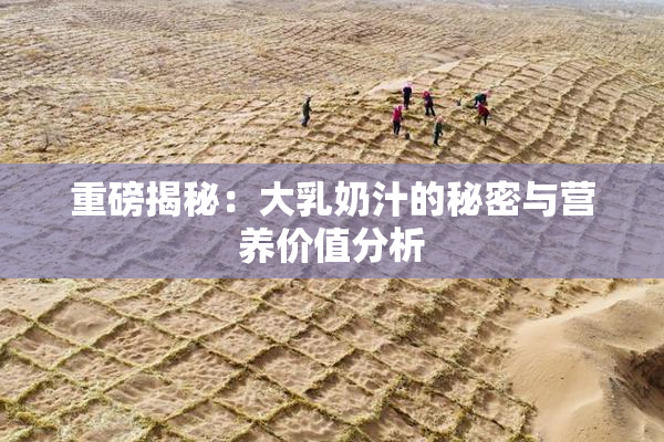 重磅揭秘：大乳奶汁的秘密与营养价值分析