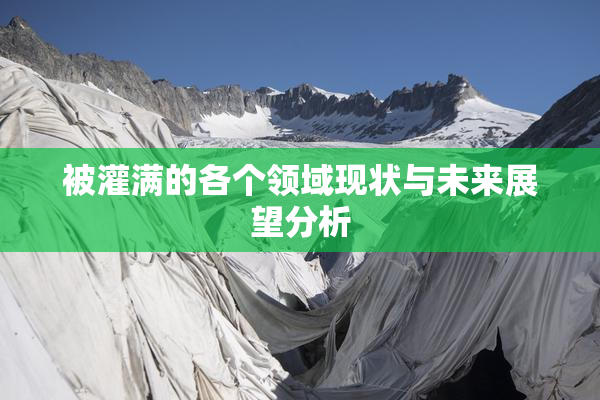 被灌满的各个领域现状与未来展望分析
