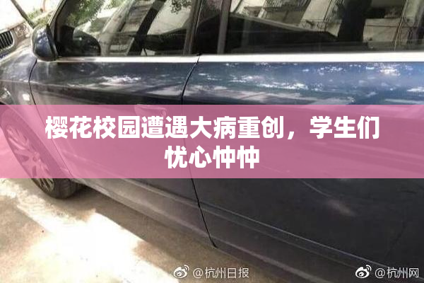 樱花校园遭遇大病重创，学生们忧心忡忡