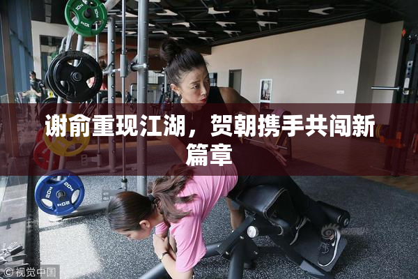 谢俞重现江湖，贺朝携手共闯新篇章