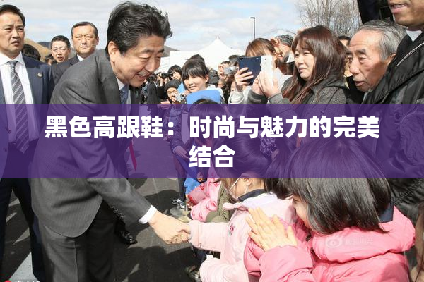黑色高跟鞋：时尚与魅力的完美结合