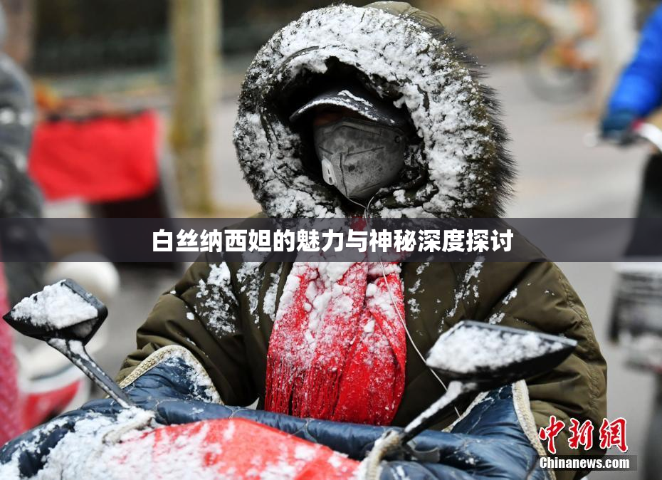 白丝纳西妲的魅力与神秘深度探讨