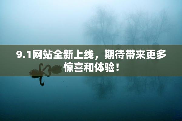 9.1网站全新上线，期待带来更多惊喜和体验！