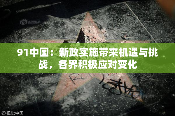 91中国：新政实施带来机遇与挑战，各界积极应对变化