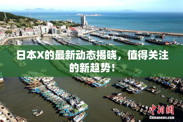 日本X的最新动态揭晓，值得关注的新趋势！
