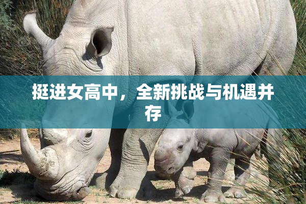 挺进女高中，全新挑战与机遇并存