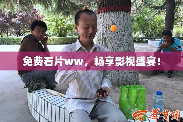 免费看片ww，畅享影视盛宴！