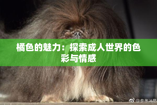 橘色的魅力：探索成人世界的色彩与情感