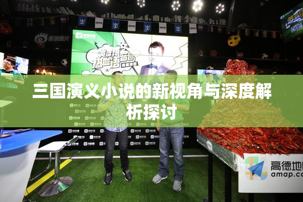 三国演义小说的新视角与深度解析探讨