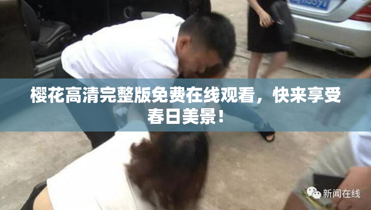 樱花高清完整版免费在线观看，快来享受春日美景！