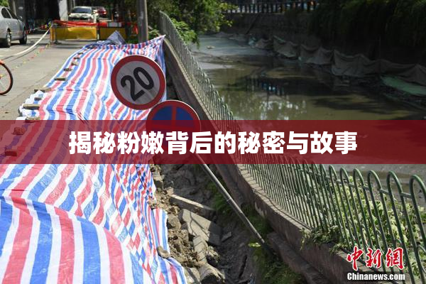揭秘粉嫩背后的秘密与故事